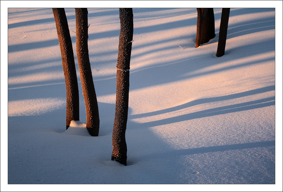 photo "***" tags: landscape, winter