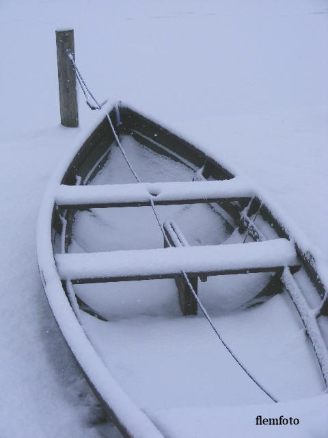 photo "Winter" tags: landscape, winter