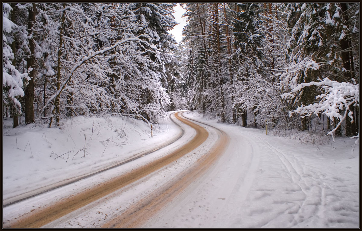 photo "The road" tags: landscape, winter