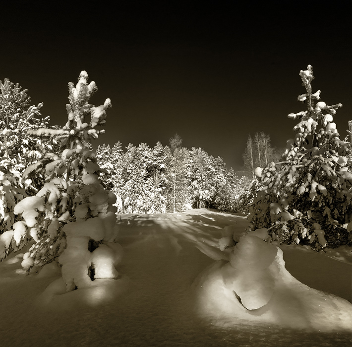 photo "***" tags: landscape, forest, winter