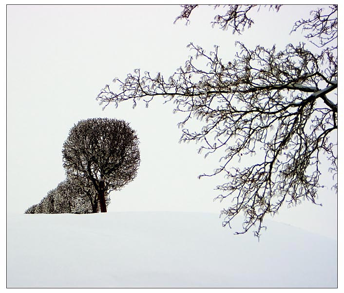 фото "В Петергофе" метки: , 