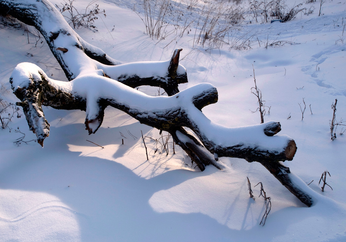 photo "***" tags: landscape, fragment, winter