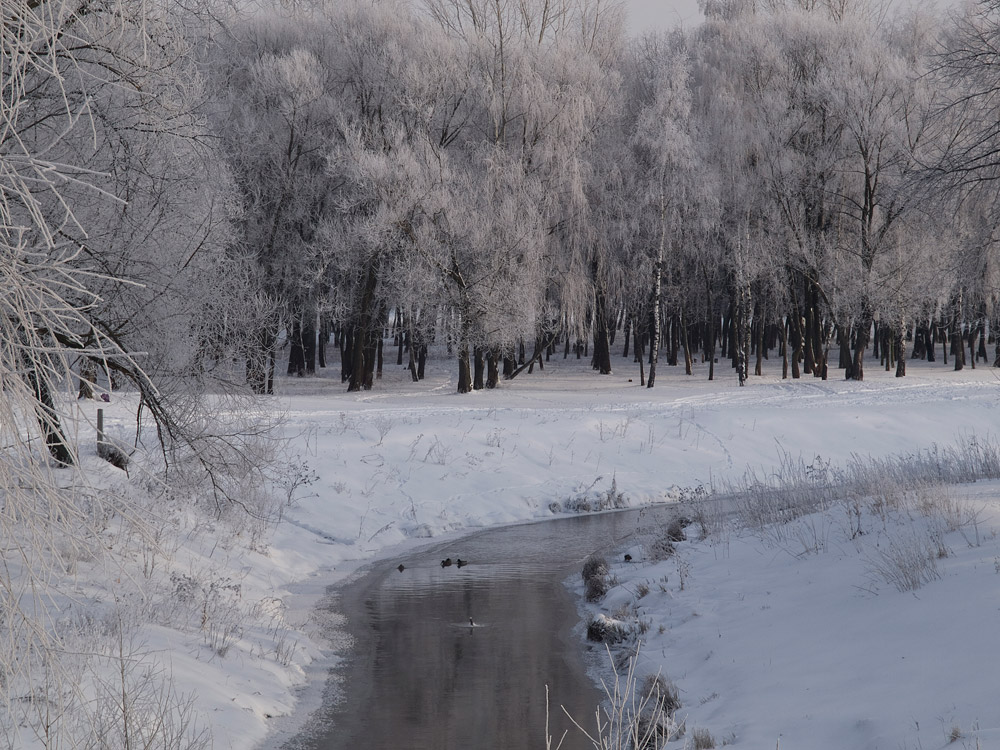 photo "***" tags: landscape, nature, winter