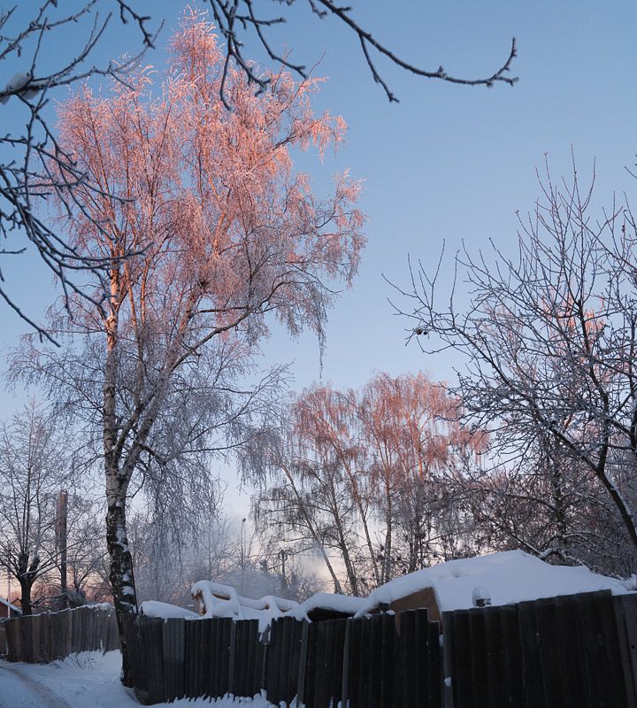 фото "В лучах утренних" метки: пейзаж, зима