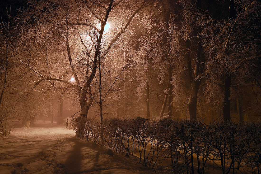 photo "***" tags: landscape, night, winter