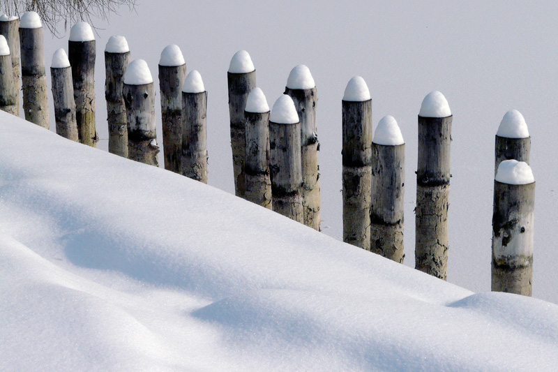 photo "Guards winter / Зимние гвардия" tags: humor, landscape, winter