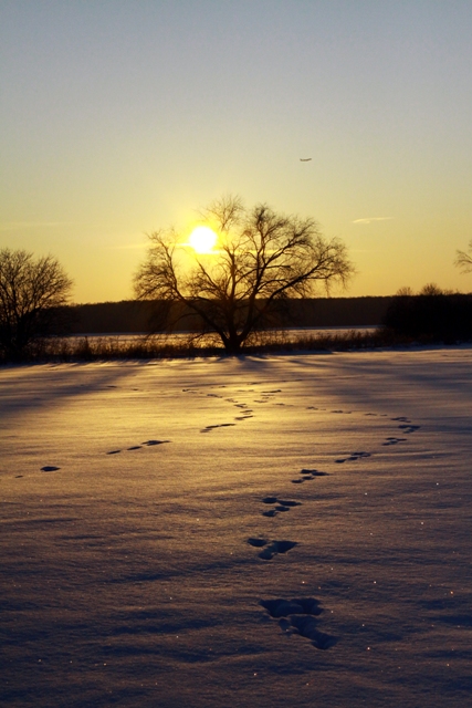 фото "winter" метки: пейзаж, зима