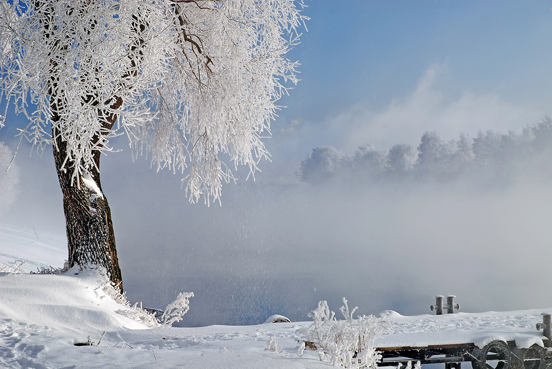 photo "***" tags: landscape, forest, winter