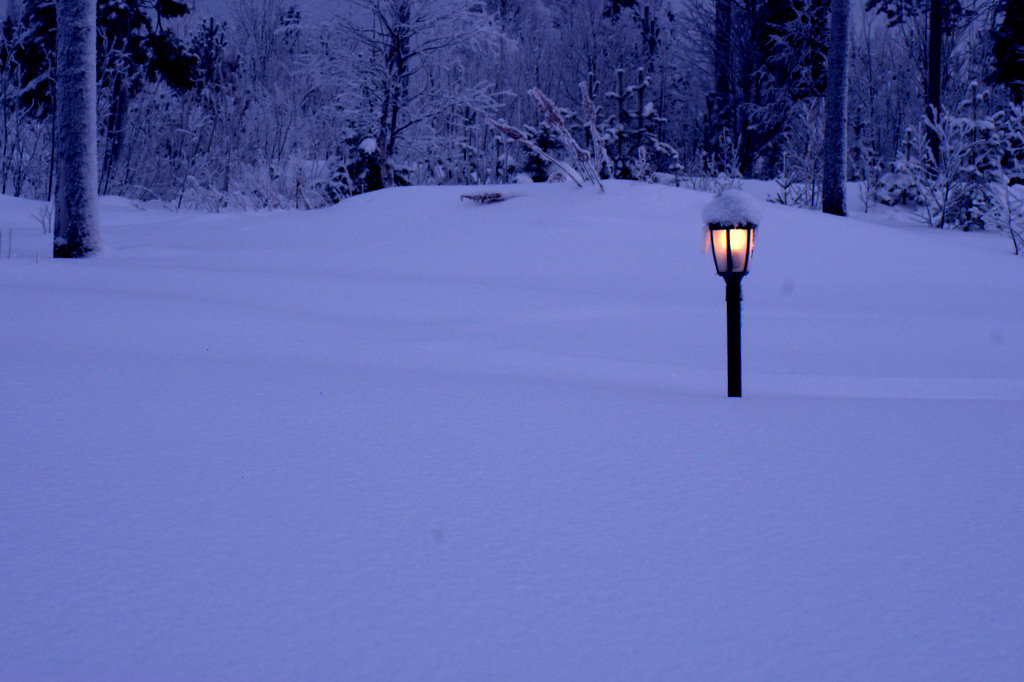 photo "***" tags: landscape, night, winter