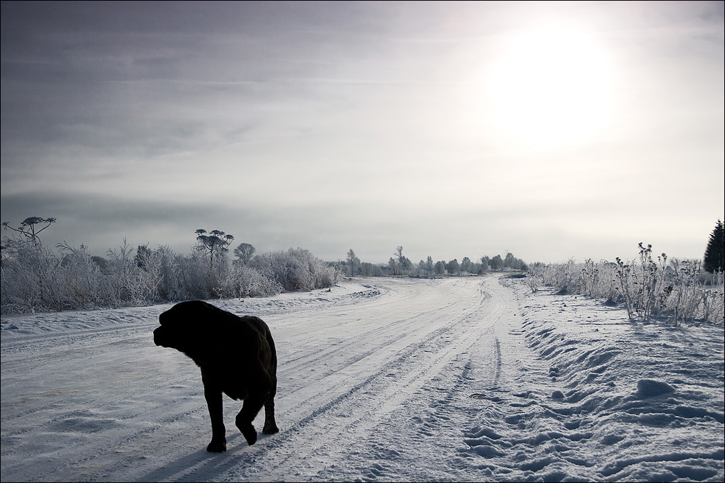 photo "***" tags: landscape, winter