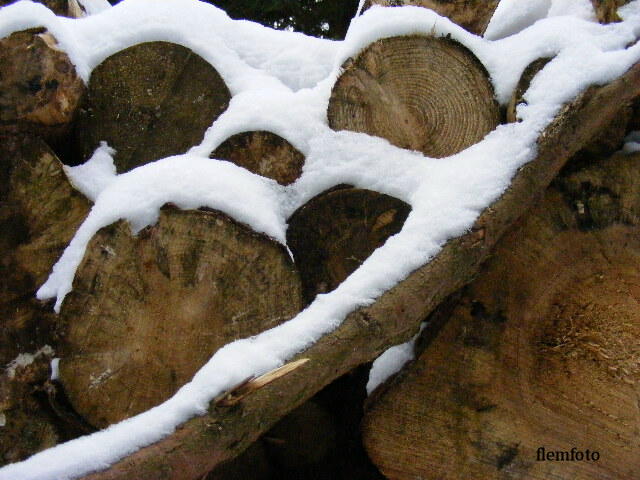 photo "Snow." tags: landscape, winter