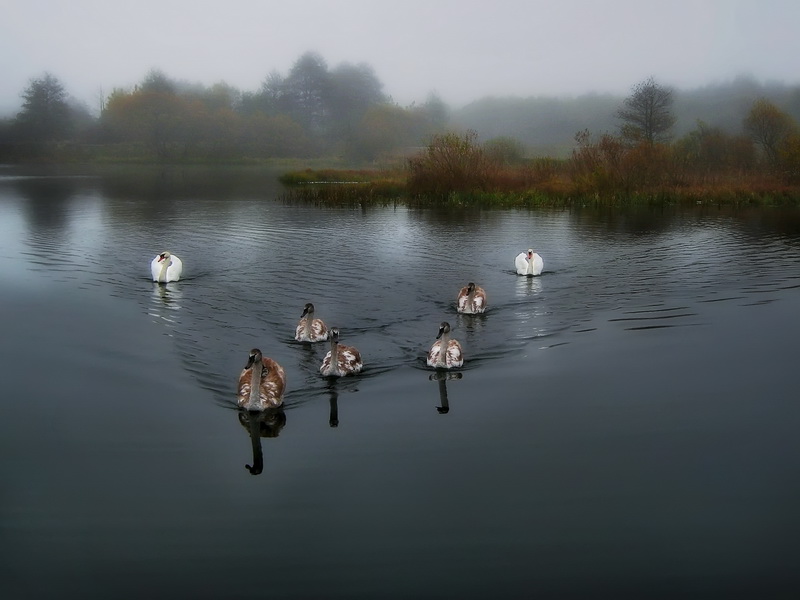 фото "-х-" метки: пейзаж, вода