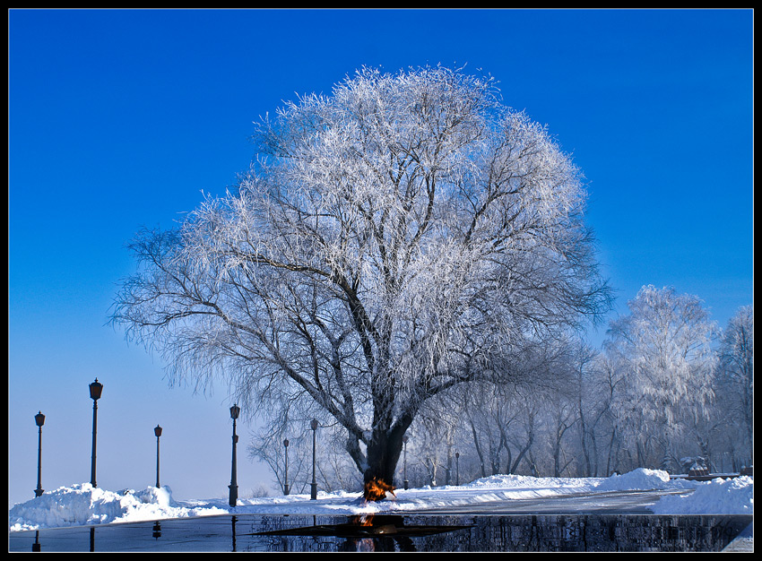 фото "Лёд и пламя" метки: , 