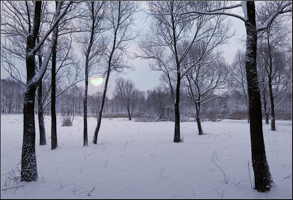 photo "frosty night" tags: landscape, sunset, winter