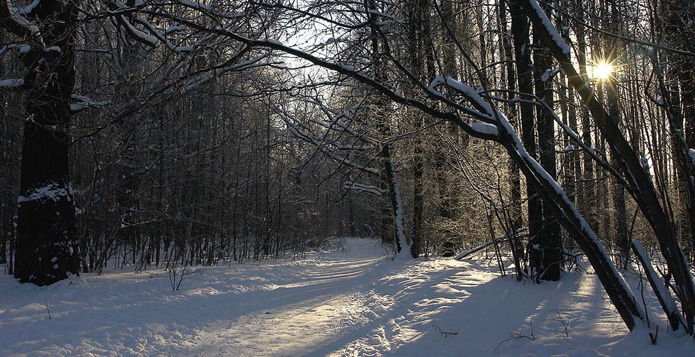фото "театр под названием "Зима"" метки: пейзаж, зима, лес