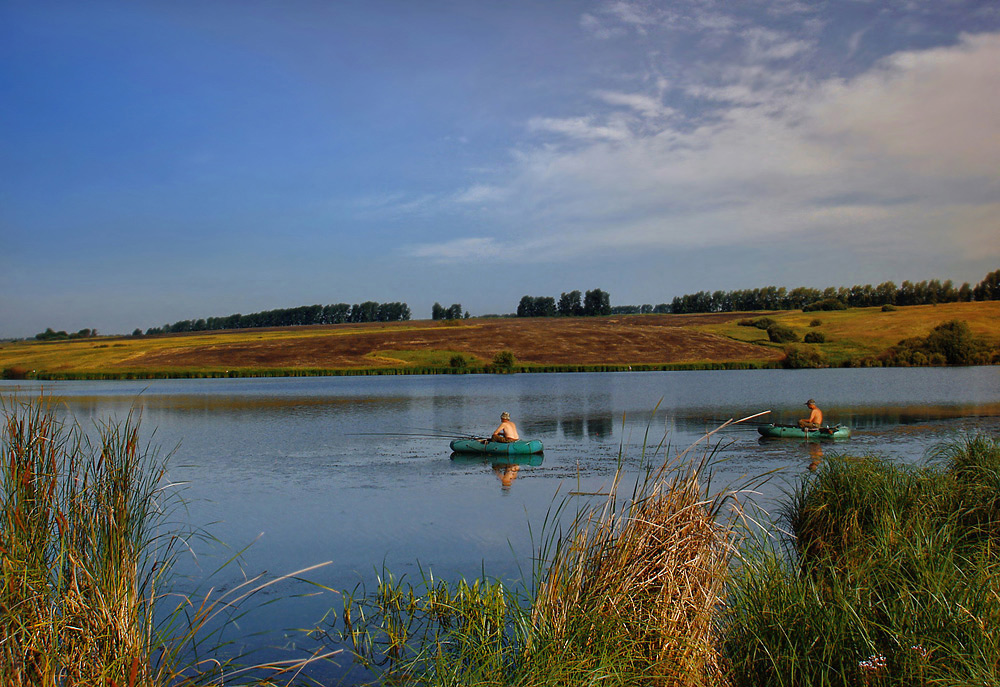 photo "... waiting ..." tags: landscape, summer