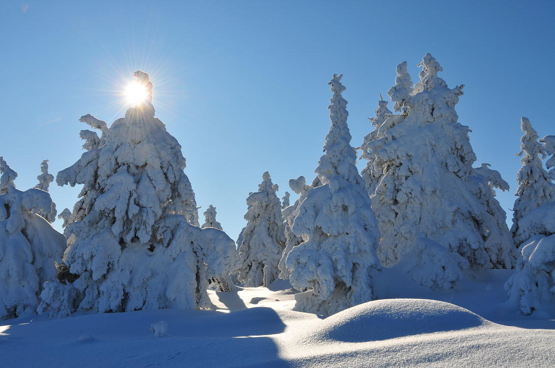 photo "snow and sun" tags: landscape, winter