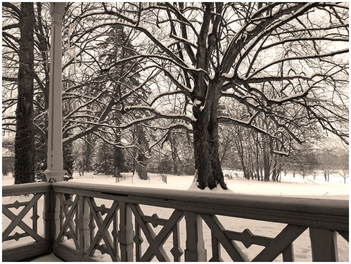 photo "Winter at country estate #2" tags: landscape, winter