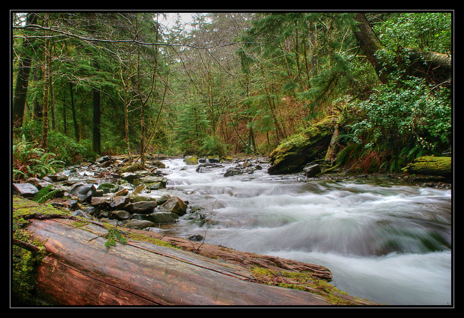 photo "+++" tags: landscape, forest, water