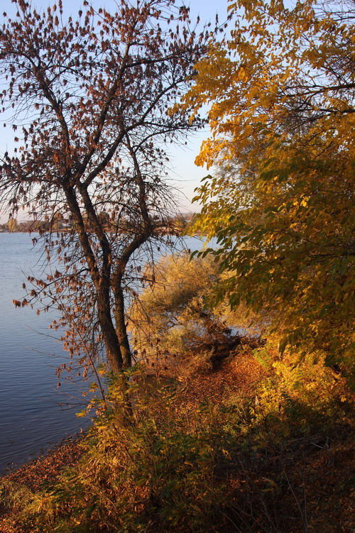 фото "Осень" метки: пейзаж, осень