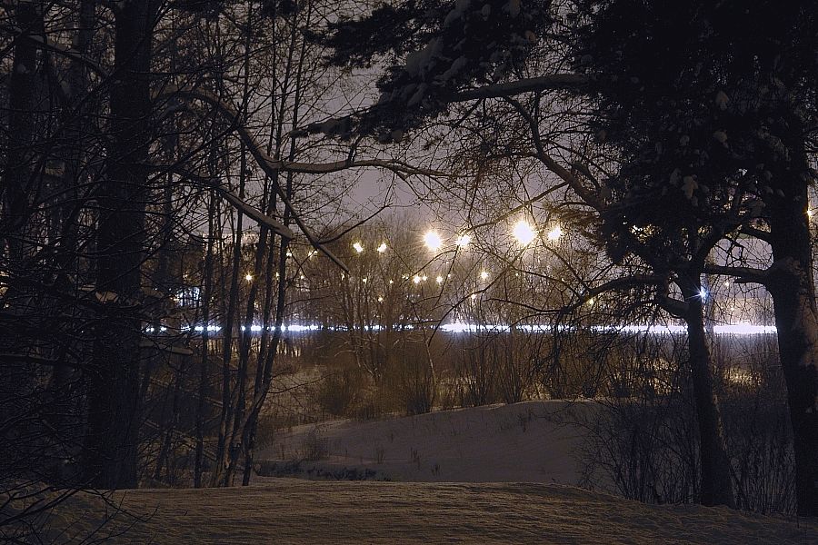фото "Из тьмы." метки: пейзаж, лес, ночь