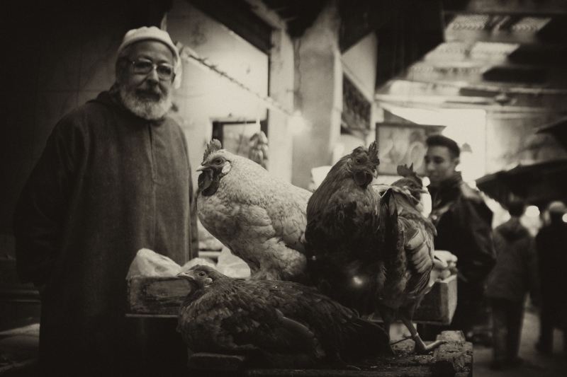 photo "chickenmen..." tags: black&white, 