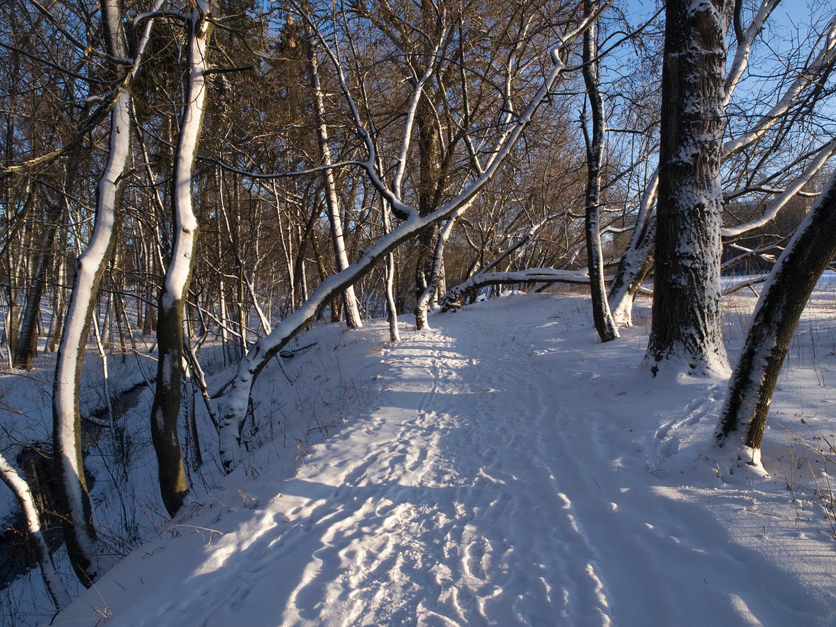 photo "***" tags: landscape, winter