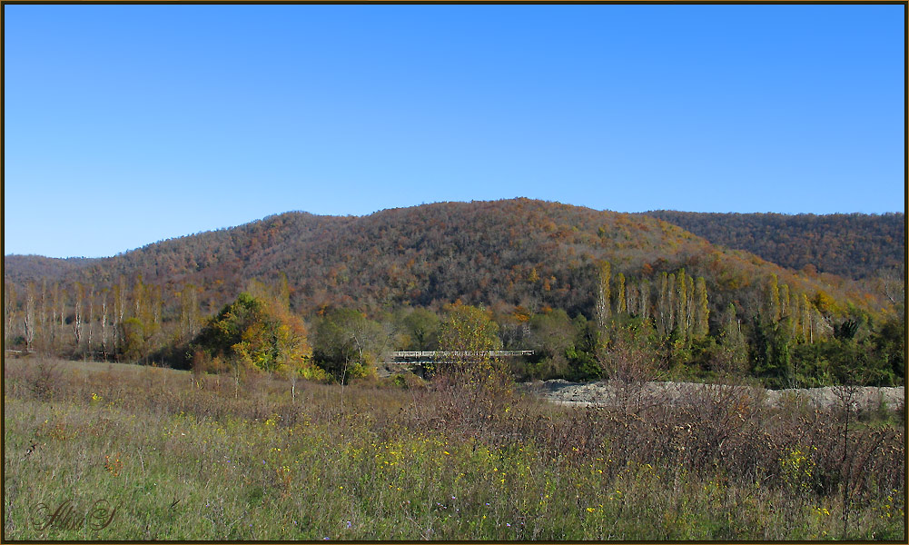 photo "***" tags: landscape, autumn, forest