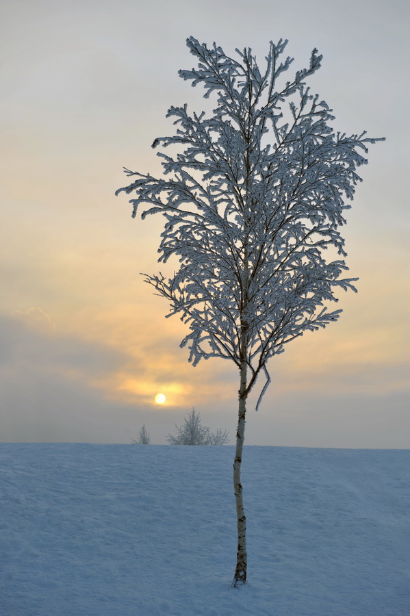 photo "Loneliness" tags: landscape, winter