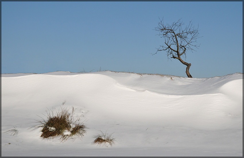 photo "***" tags: landscape, winter