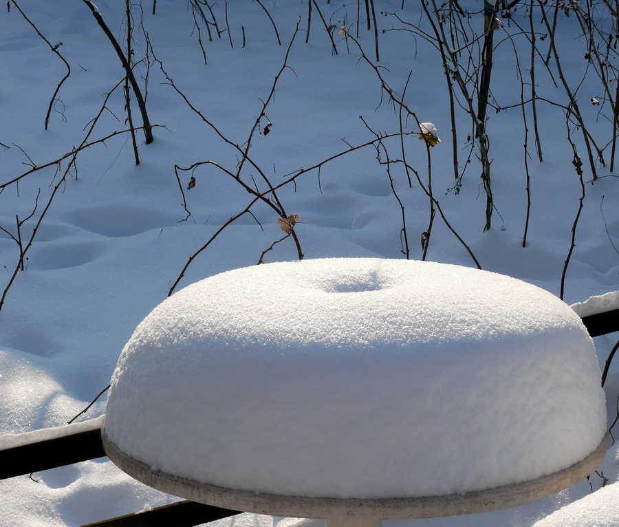 фото "Big white donut" метки: пейзаж, путешествия, Европа, лес