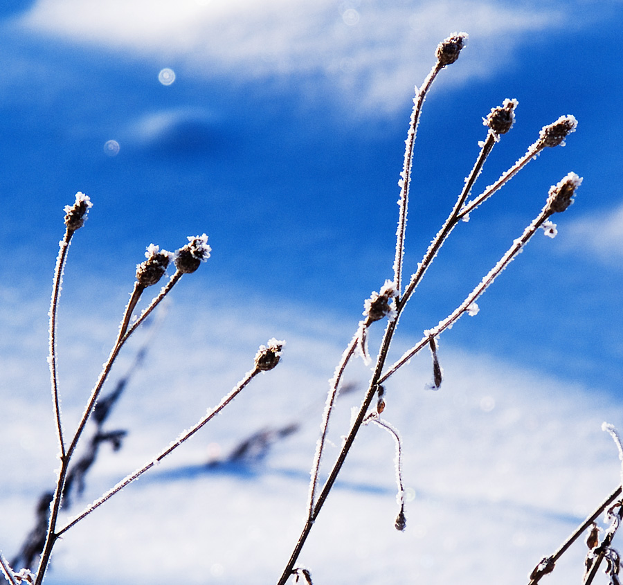 photo "***" tags: landscape, winter