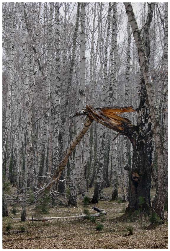 фото "Весна" метки: пейзаж, 