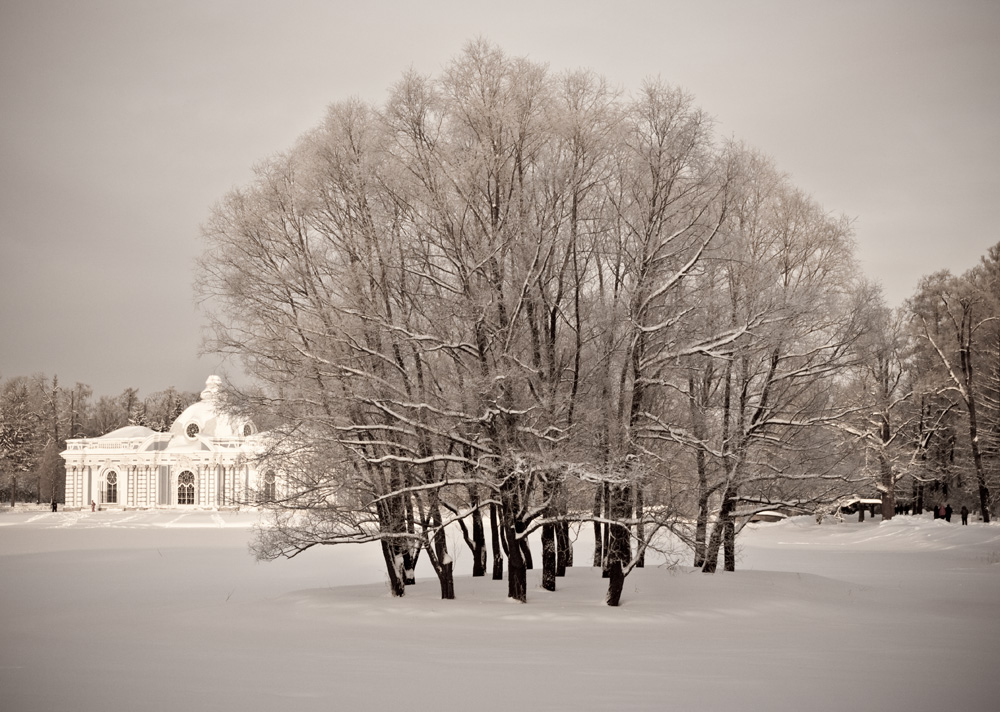 photo "***" tags: landscape, winter