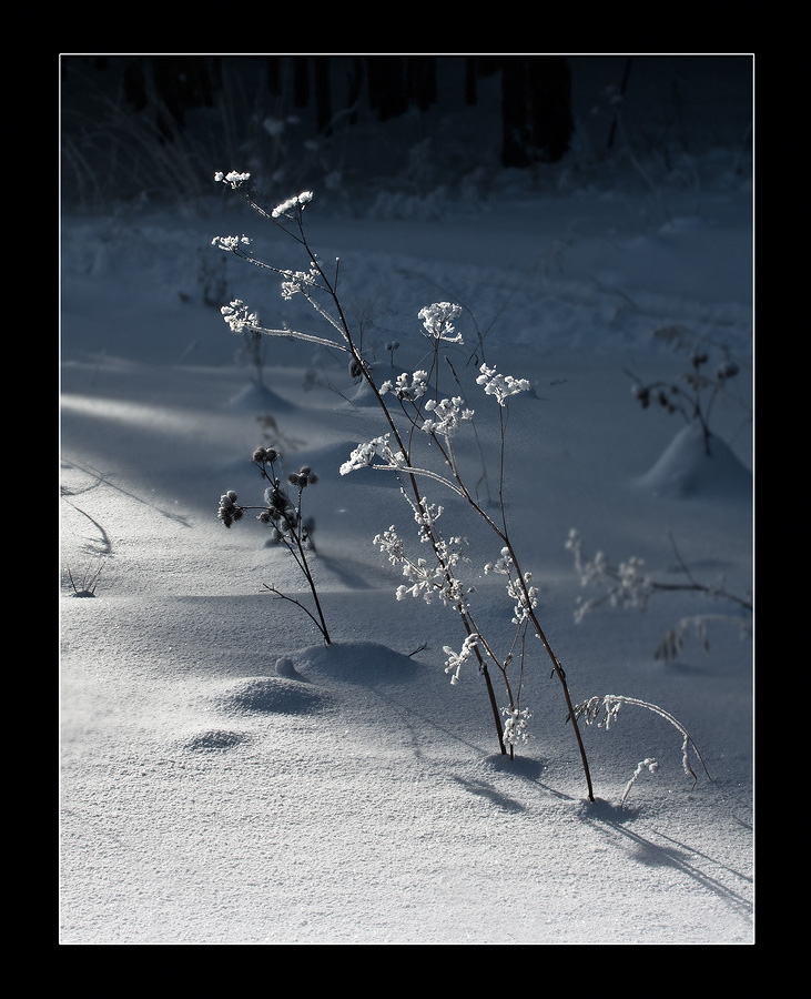 photo "***" tags: landscape, winter