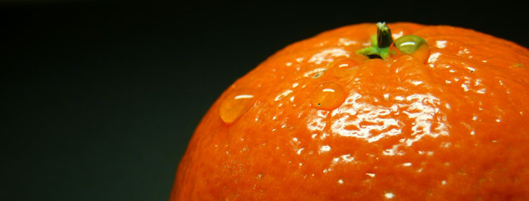 photo "orange" tags: macro and close-up, fragment, 