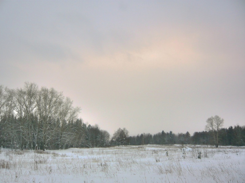 photo "***" tags: landscape, clouds, winter