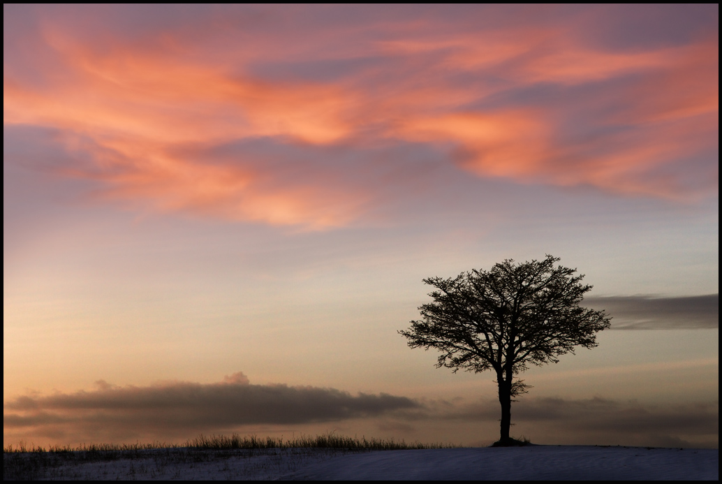 фото "Simply Winter" метки: пейзаж, закат