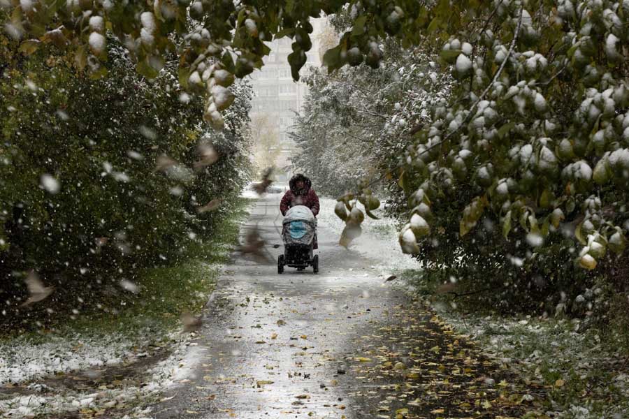 photo "Snow and leaves" tags: landscape, reporting, 