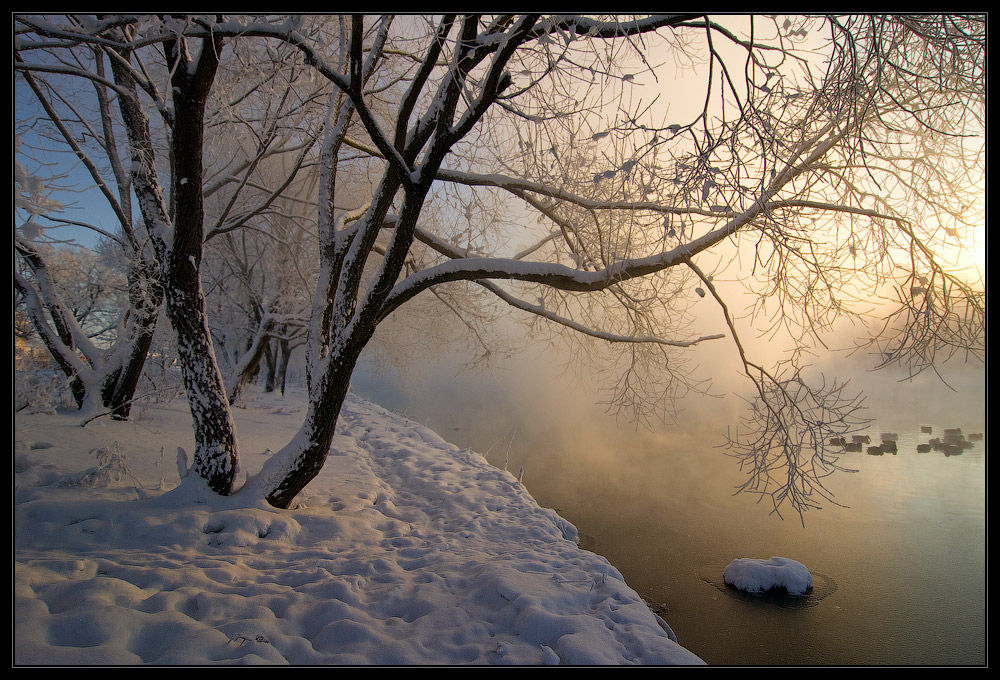 photo "***" tags: landscape, winter
