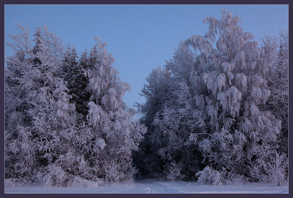 фото "Сумерки" метки: пейзаж, 