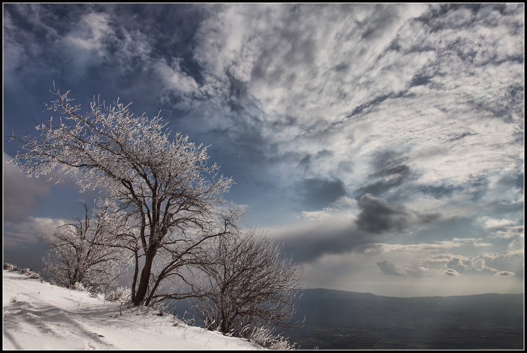 фото "Winter light" метки: пейзаж, зима