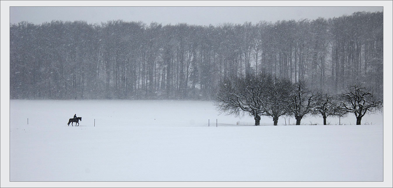 photo "***" tags: landscape, forest, winter