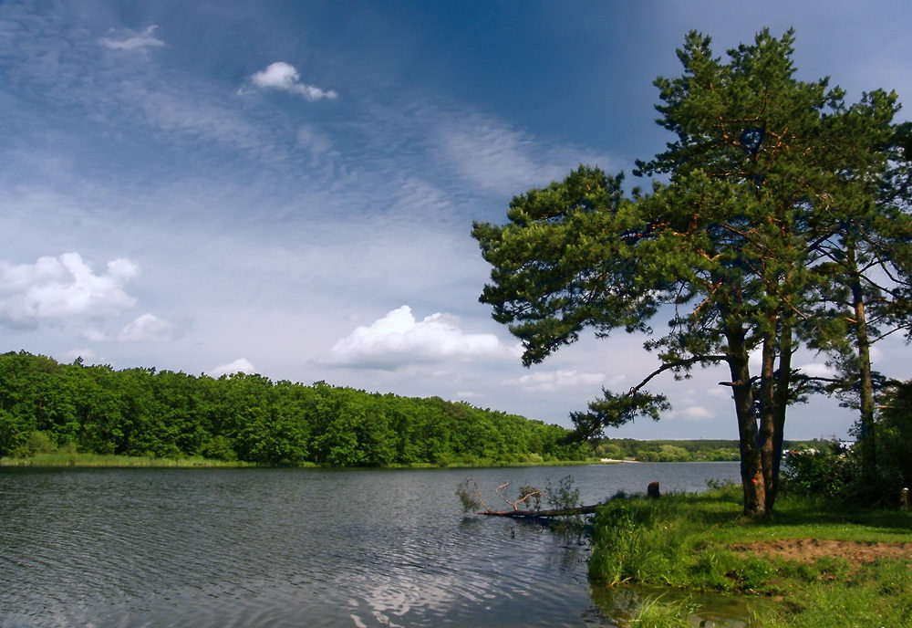 photo "***" tags: landscape, summer
