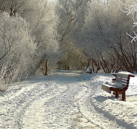 фото "зимний парк" метки: пейзаж, 