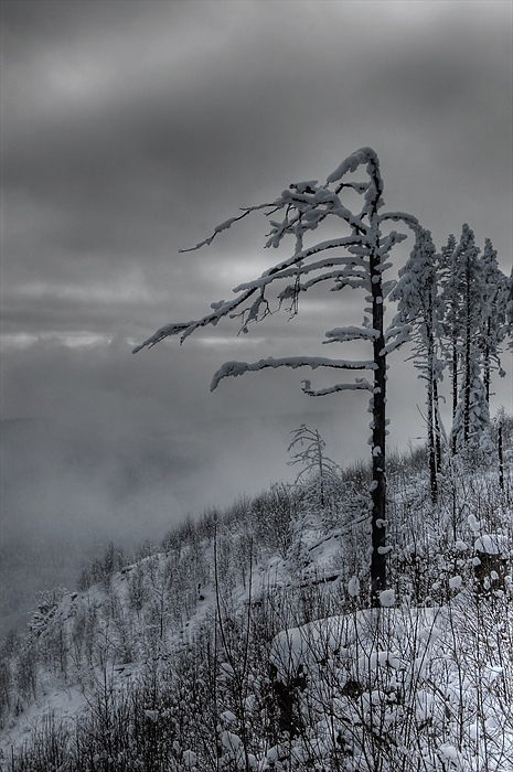 фото "Winter in Rodopi mountain" метки: пейзаж, зима