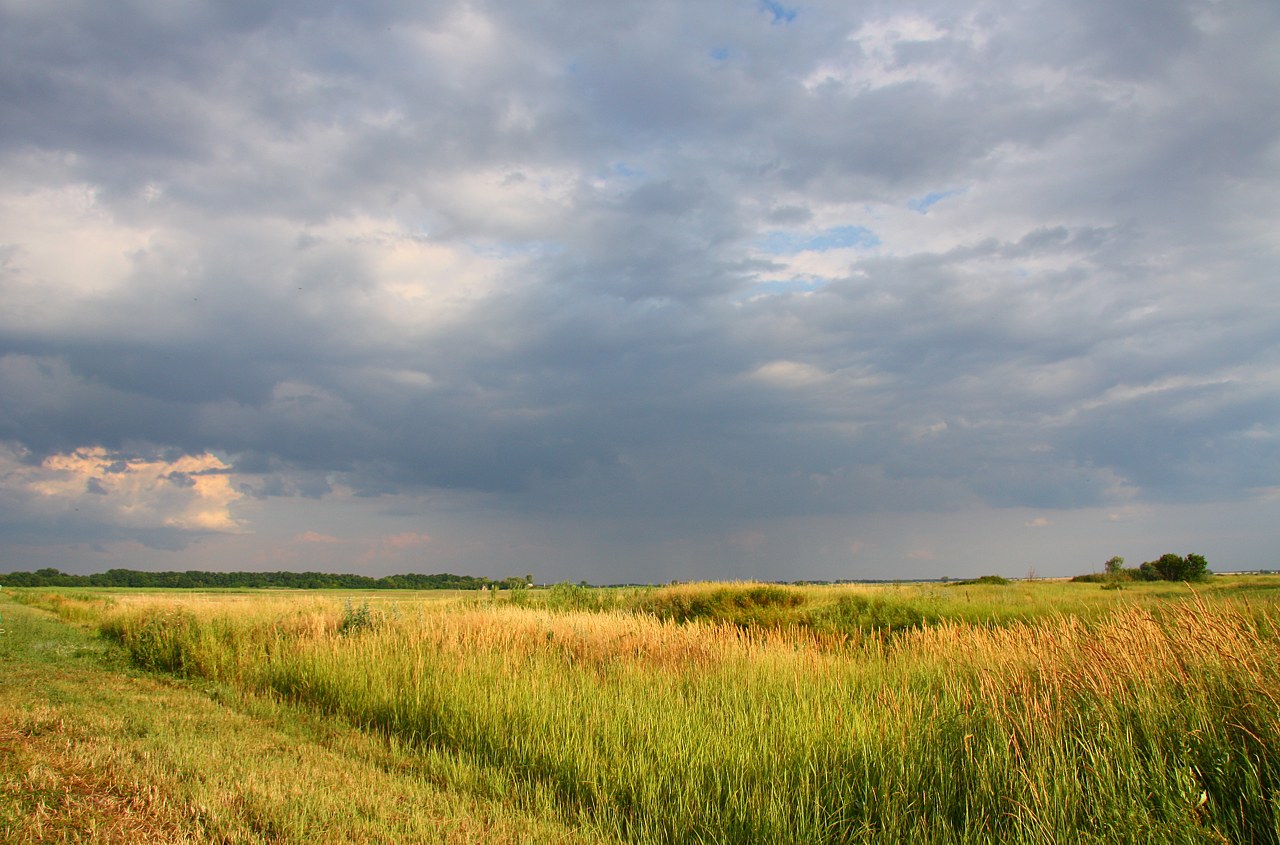 photo "Just Before Rain" tags: landscape, clouds, summer