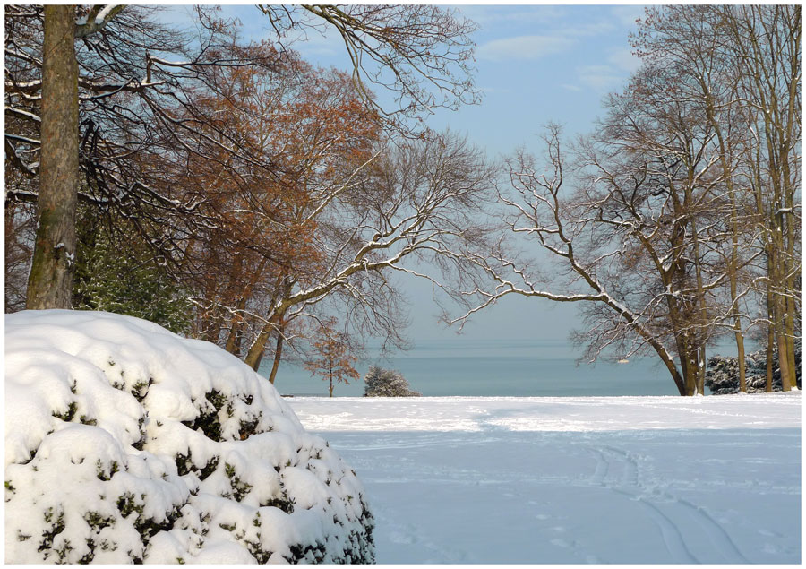 photo "Arch" tags: landscape, winter