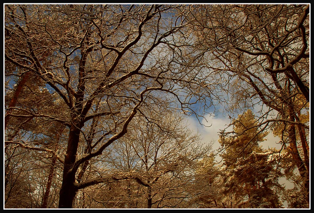 photo "Colors of winter" tags: landscape, 