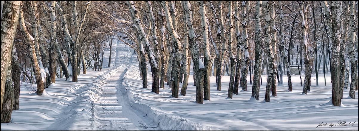 photo "***" tags: landscape, panoramic, winter